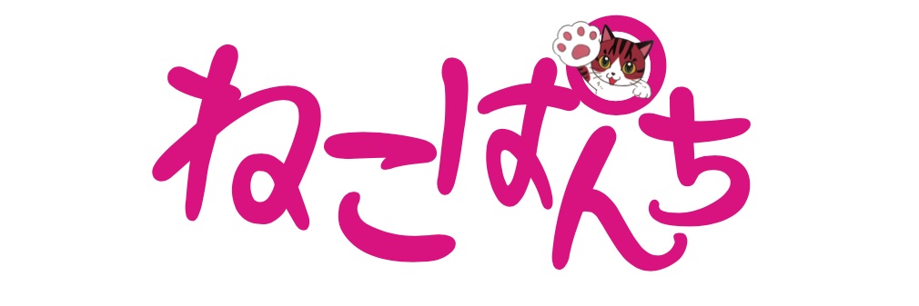 ねこぱんち編集部＠公式's banner