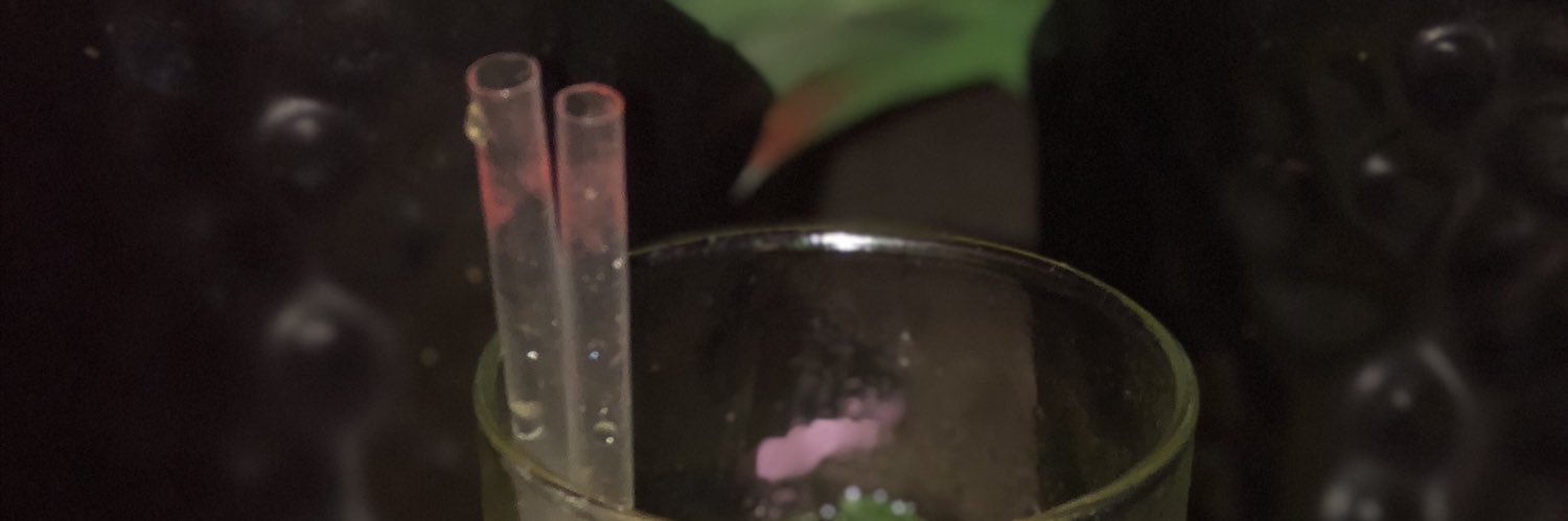 AliyahCalderonP's profile banner image