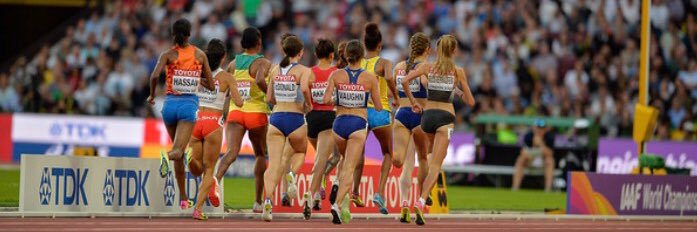 Sarah McDonald banner