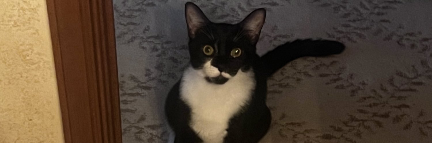 matthew ryan wrinkle banner