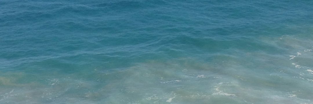nicolegheller's profile banner image
