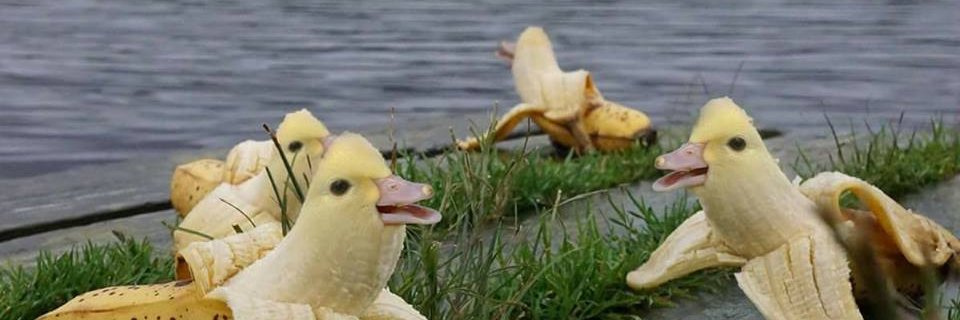 foldassi's profile banner image