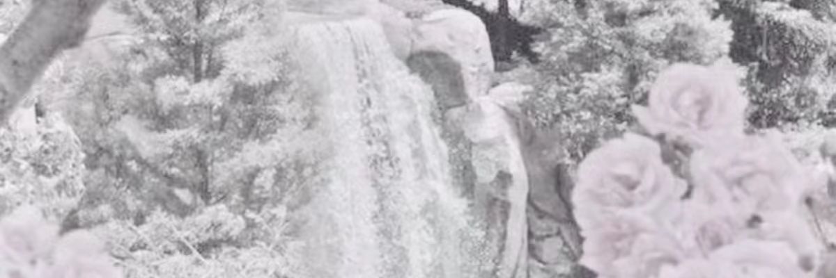 wolfy_118's profile banner image