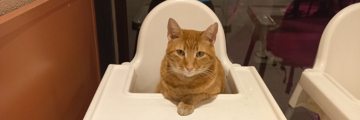 Uçankayısı banner