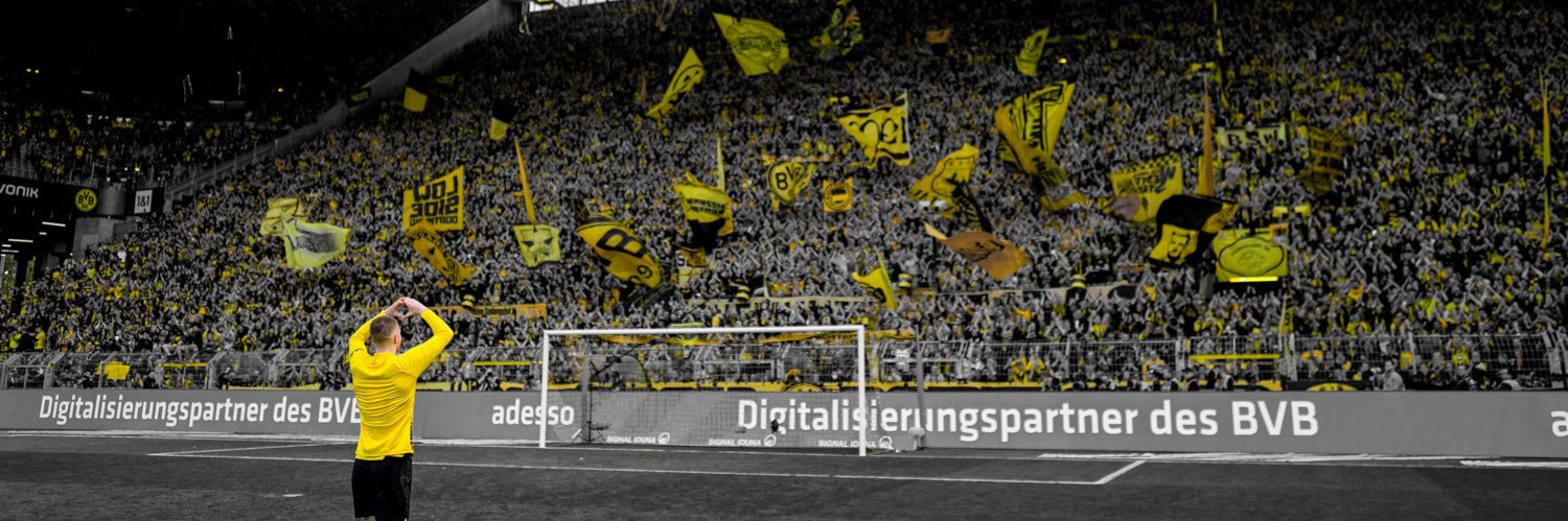 pedro banner
