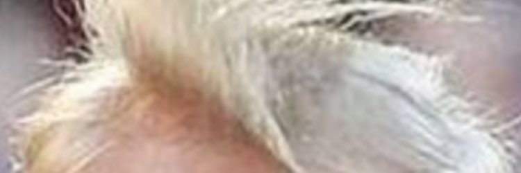hunt2004's profile banner image