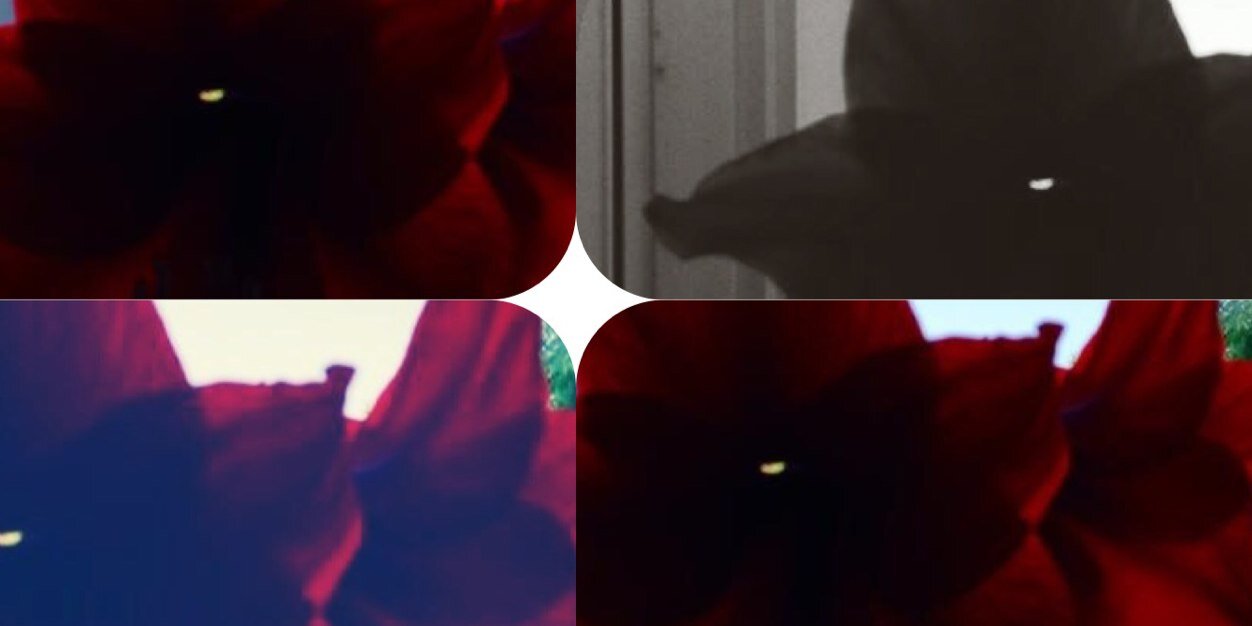 ianwsays's profile banner image