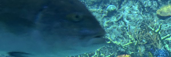 formuliaa Profile Banner