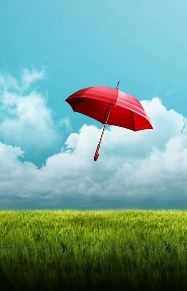 basheeralimam's profile banner image
