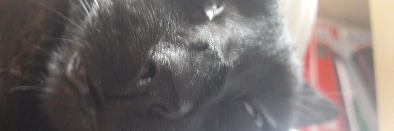 work.in.progress 🇫🇷🐢 ⏚ Nahel 🕯#Cessezlefeu banner