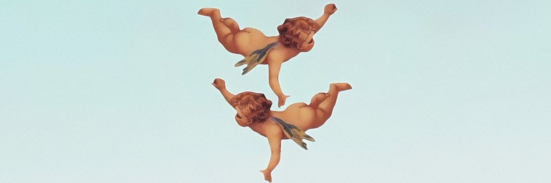 nvccollante's profile banner image