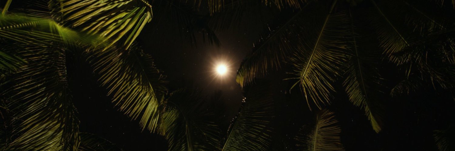 YeinlyCastro's profile banner image