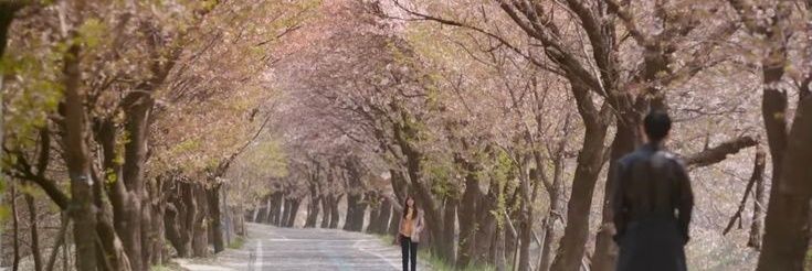 rena banner