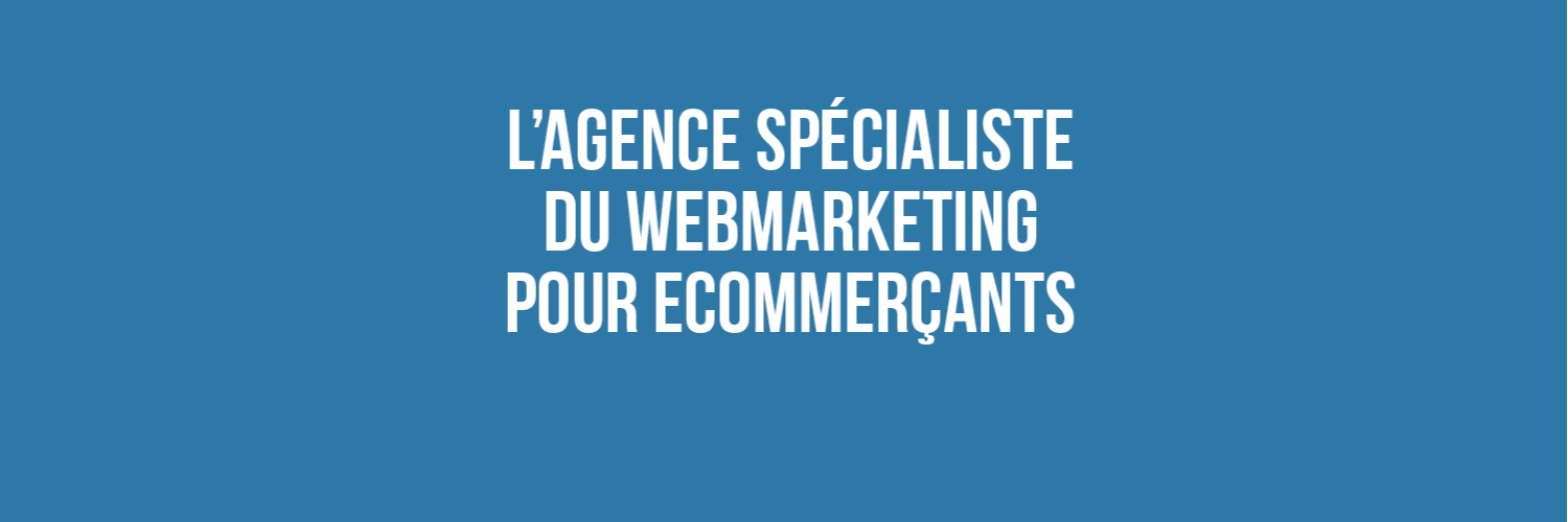 Blog Ecommerce banner