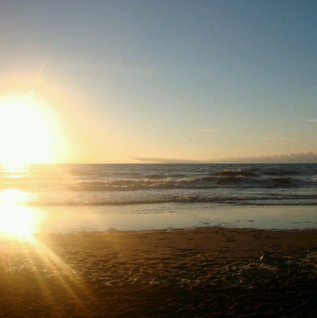 Rocha_Lucass's profile banner image