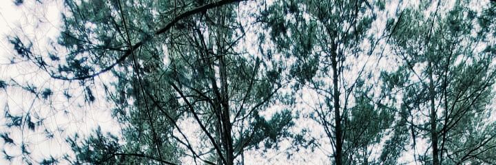 annarianaa's profile banner image