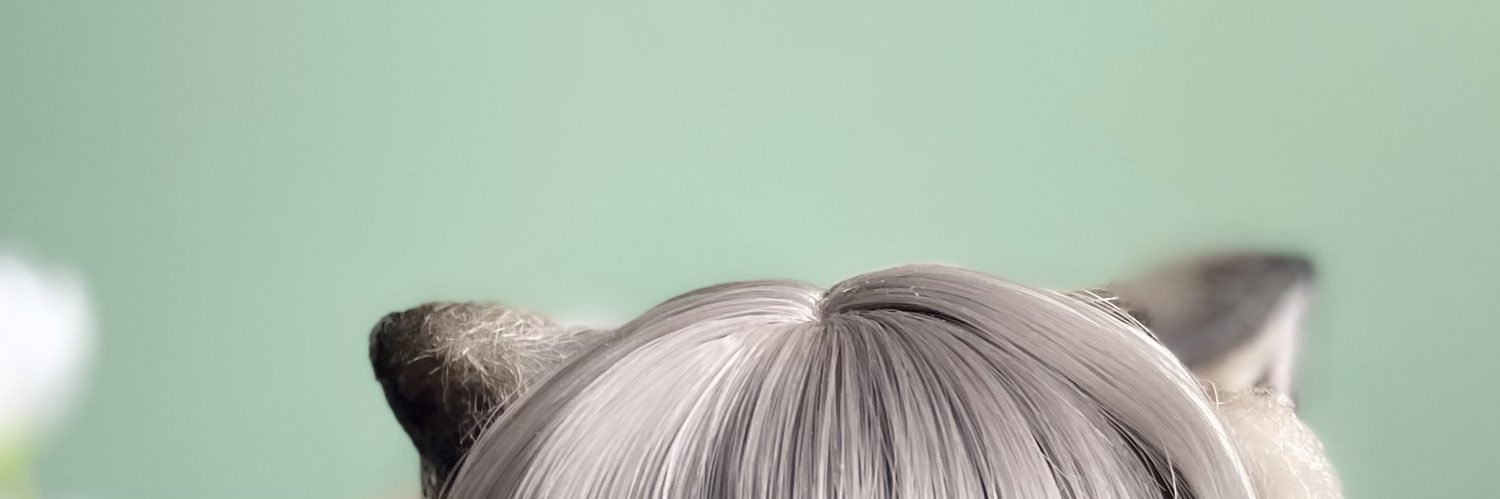 vota II's banner