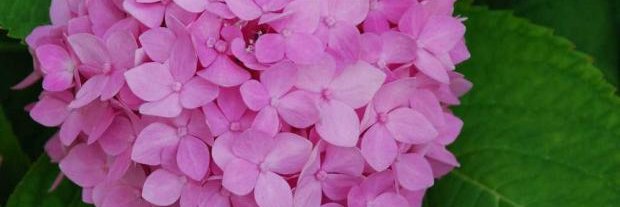 KayCallahan_01's profile banner image
