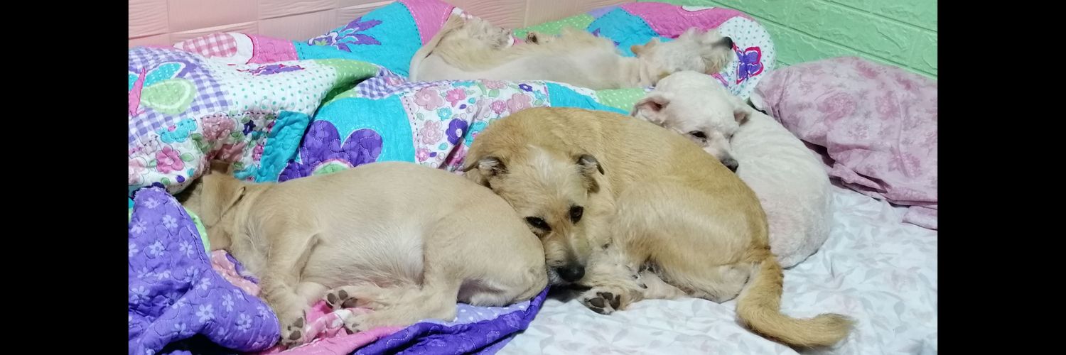 3yssp's profile banner image