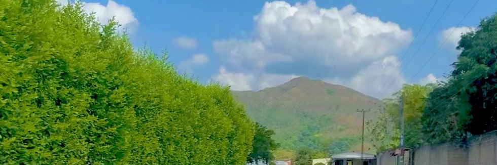 eduarmau's profile banner image
