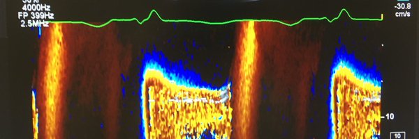 ParrasJorge2 Profile Banner