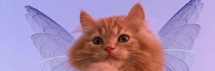 FlorBettera's profile banner image