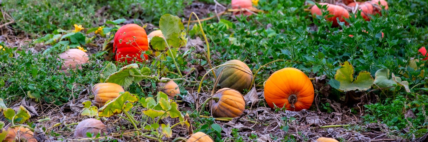 Centre for Sustainable Food Systems at UBC Farm banner