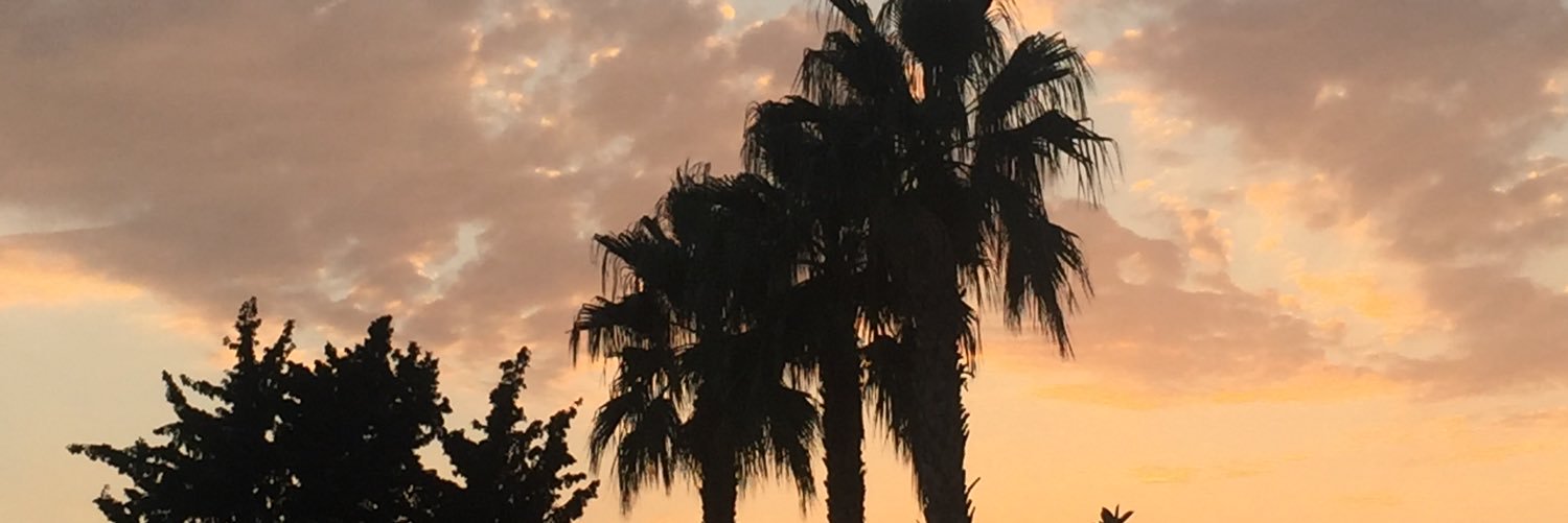 selinayse98's profile banner image