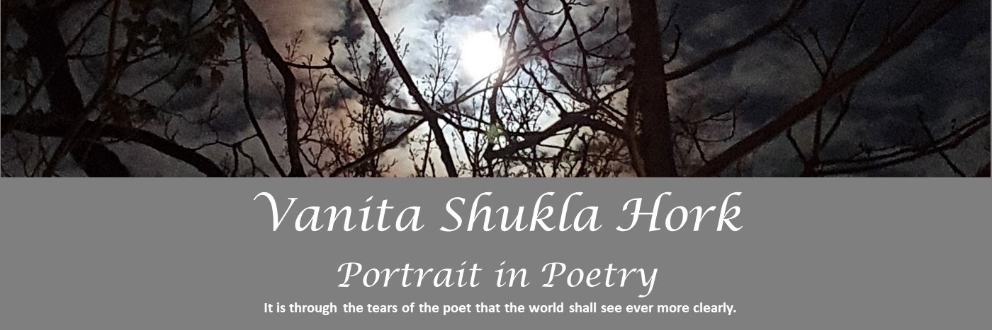Vanita Shukla Hork's banner