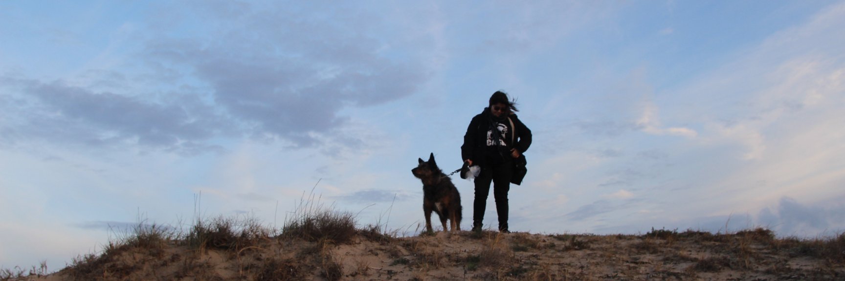 MrsNole's profile banner image