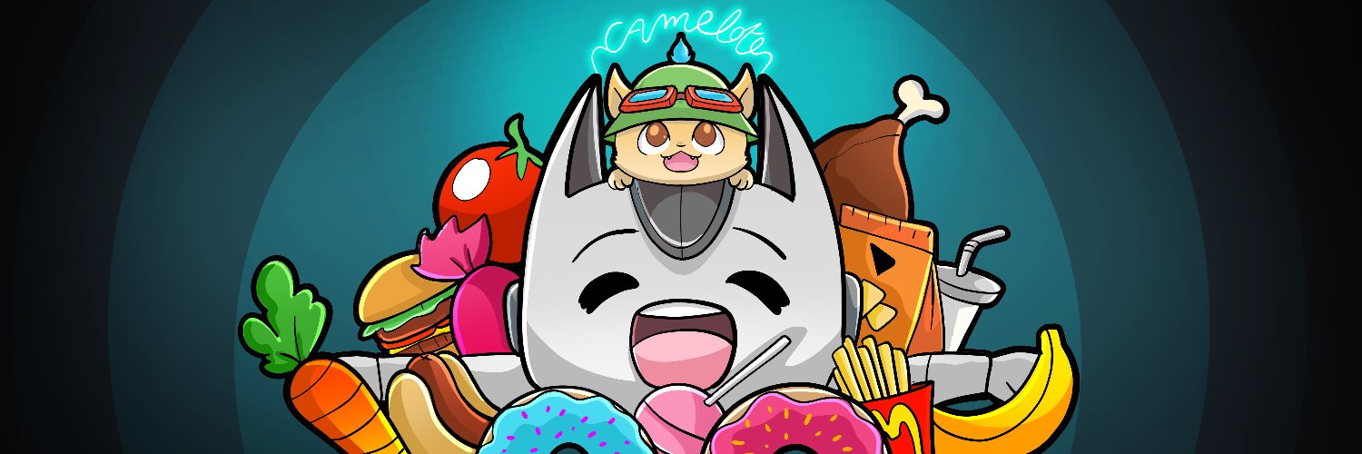 camelote__'s profile banner image