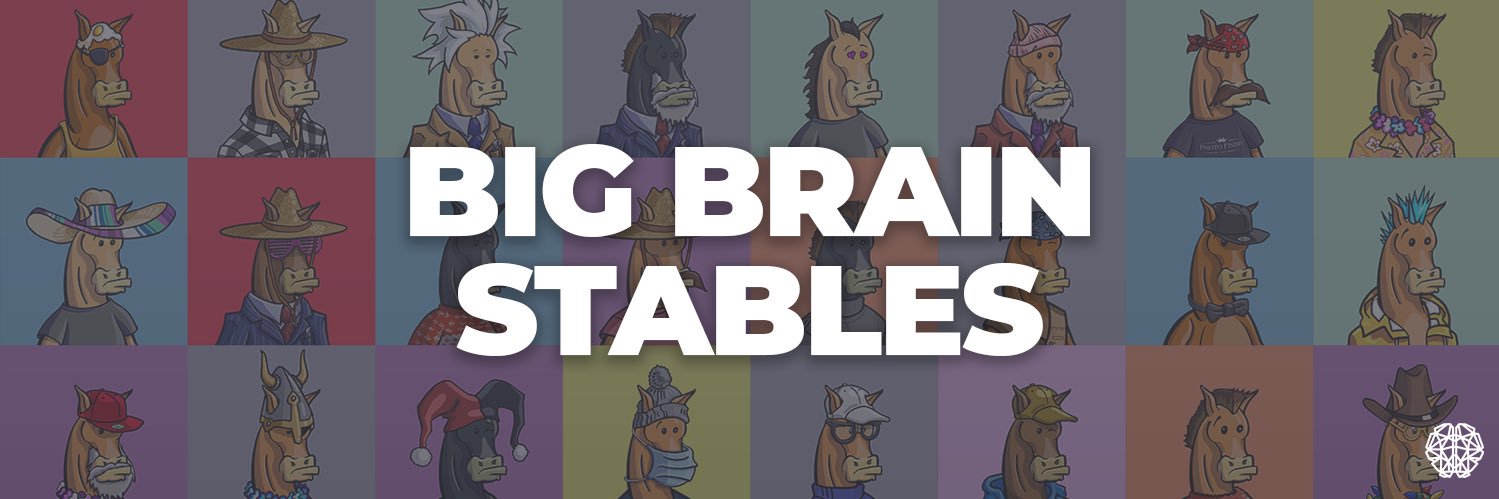 Big Brain Stables banner