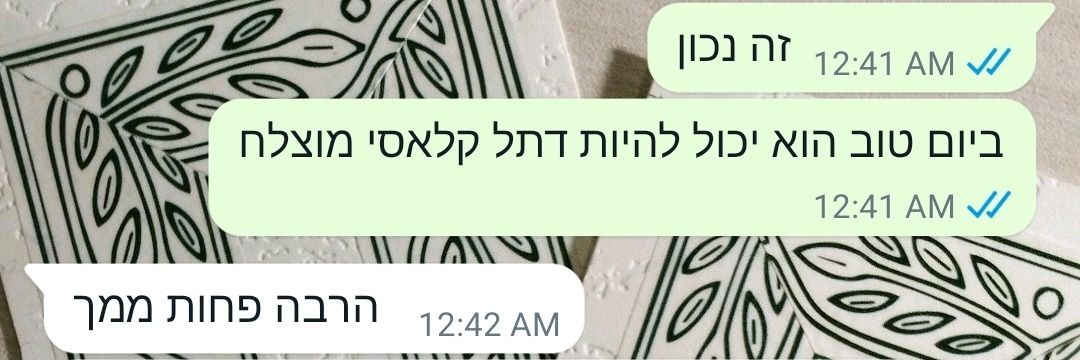 Yechiel Fisch banner