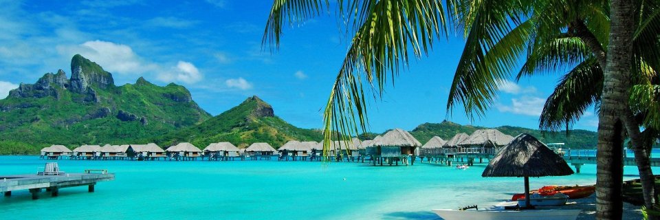 Ace Alexander banner