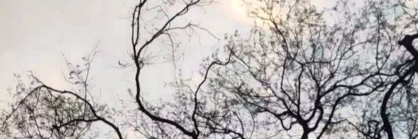 KartikGothwal28 Profile Banner
