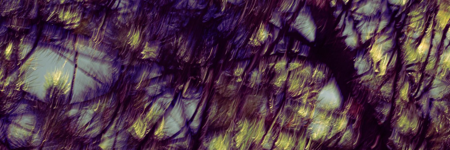 _brasam's profile banner image