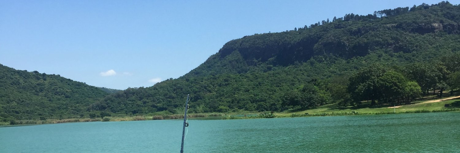 Ayanda Sithole banner