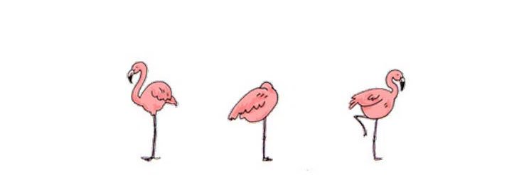 なるみんご🦩🦩🦩一重メイク＆コスメ&美容 banner