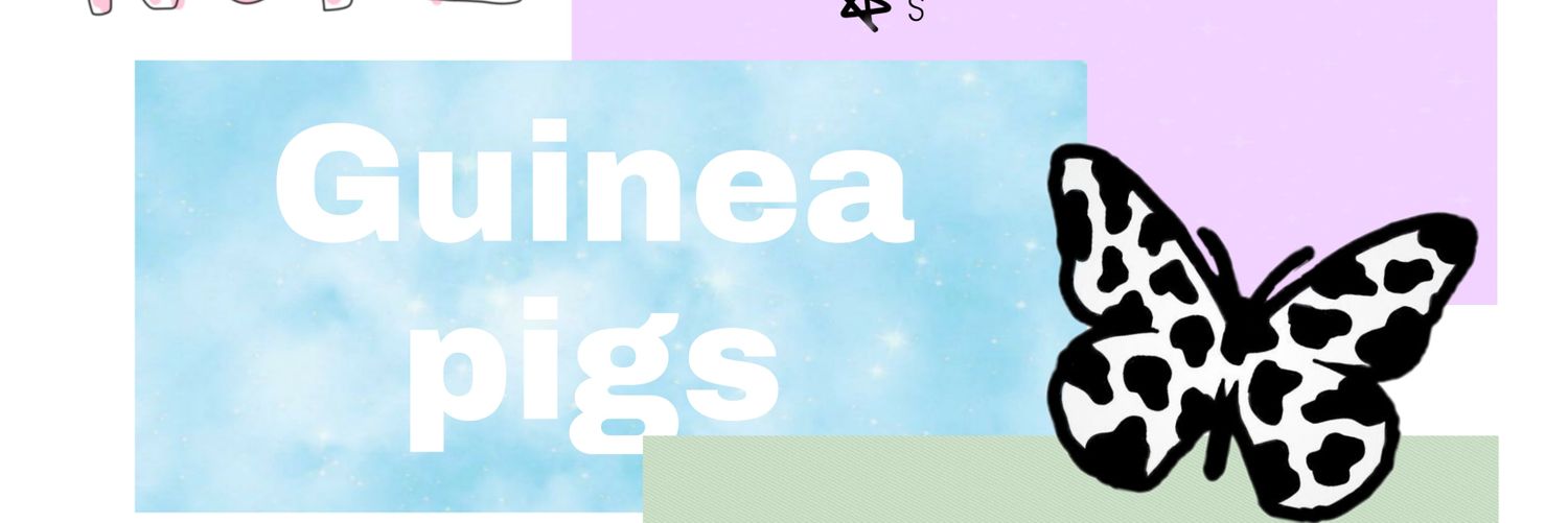 Ginger🥬& Milka🍫 banner