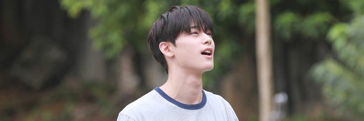 sy banner