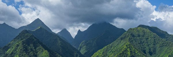 OhPerrache Profile Banner