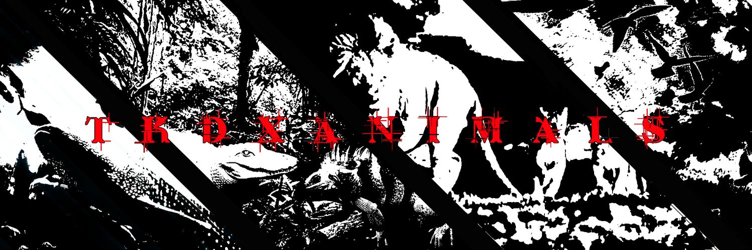 THEKINGDOMXANIMAL banner