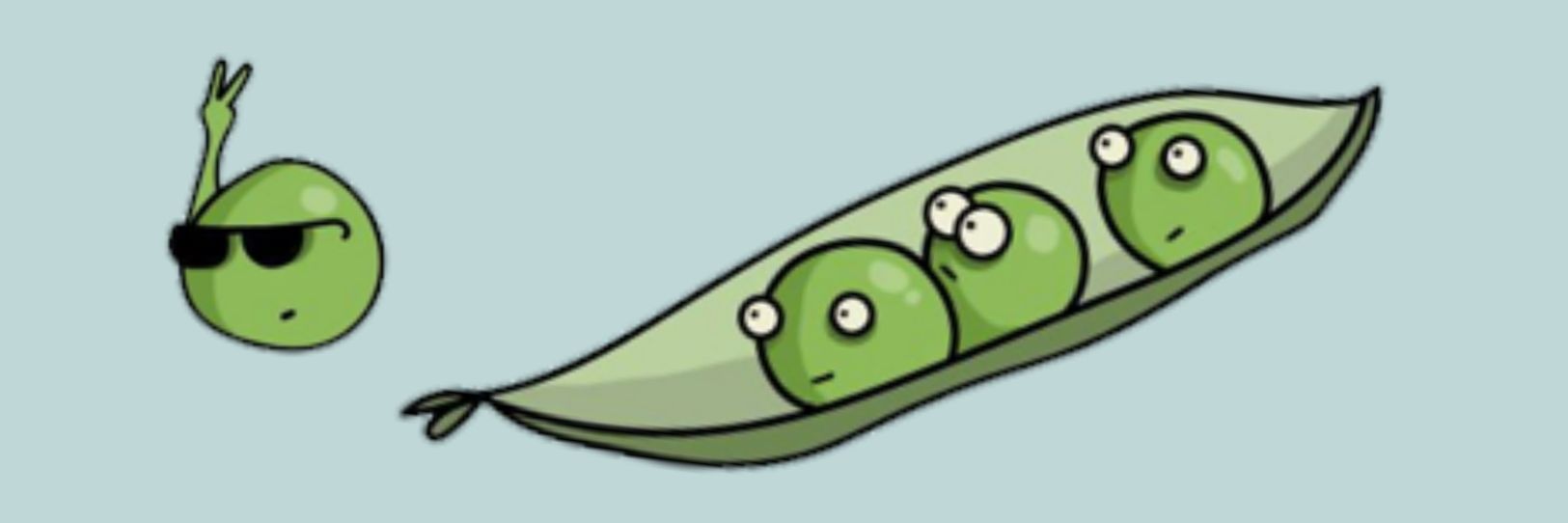 thebijicabe's profile banner image