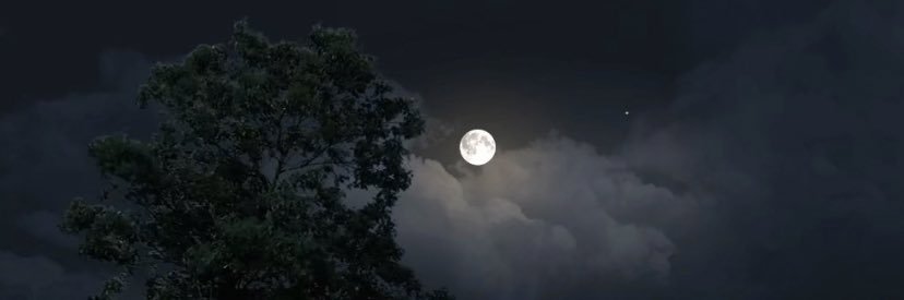 Nic... banner