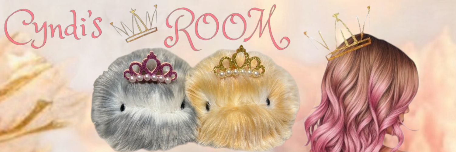 Cyndi👑シンディ(*Ꙩꙻ₀Ꙩꙻ)🦫💕 banner