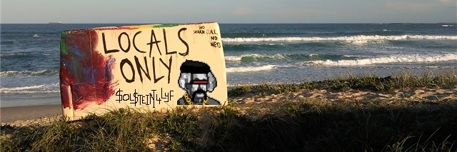 Solsteins NFT banner