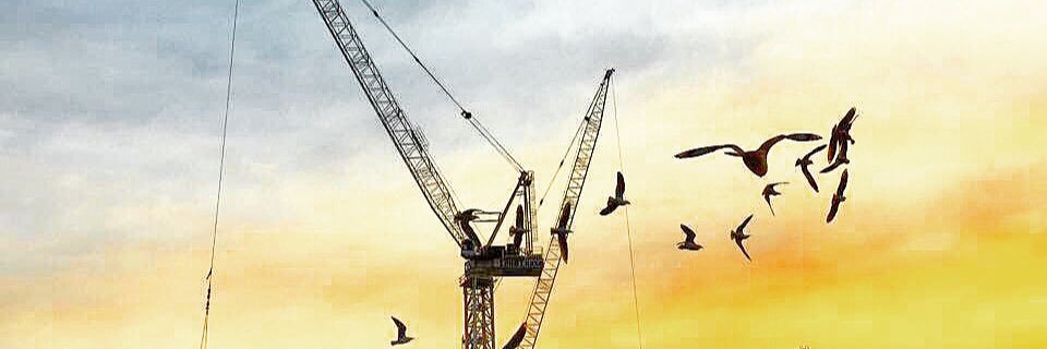 eylemzturk's profile banner image