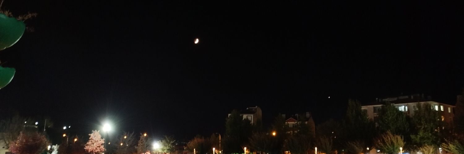 Buse banner