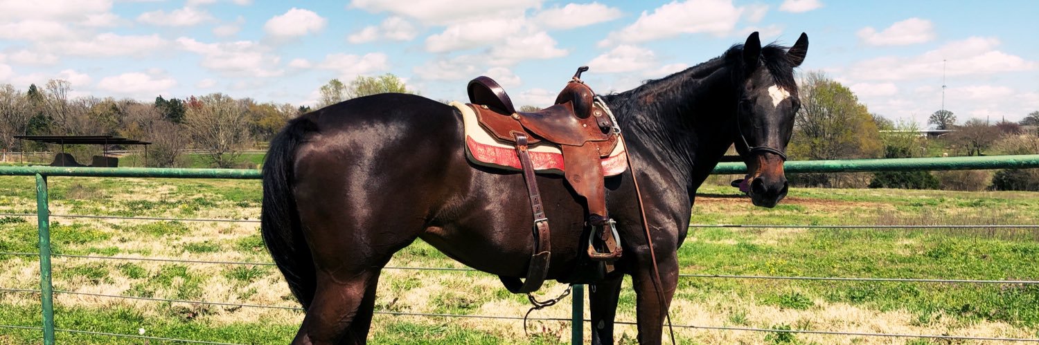 BaileyGarner's profile banner image