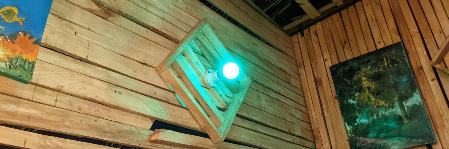 BOSS KABUTURA banner